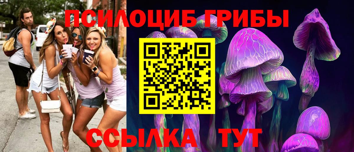 Кохма  Псилоцибиновые грибы мицелий  Вход с VPN  Псилоцибиновые грибы Cubensis 