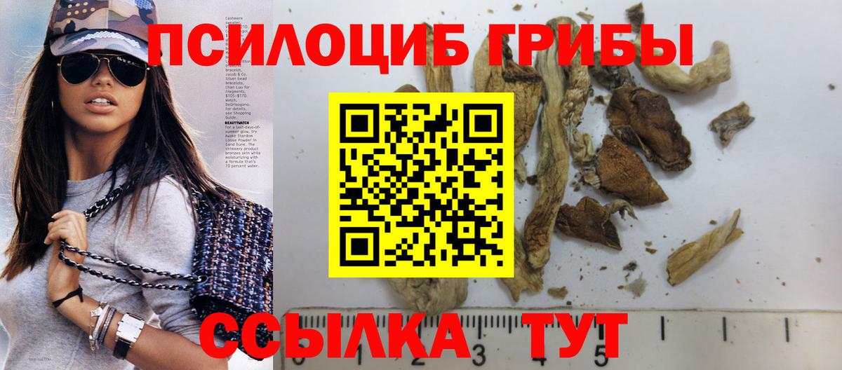 Псилоцибиновые грибы Psilocybe Кохма