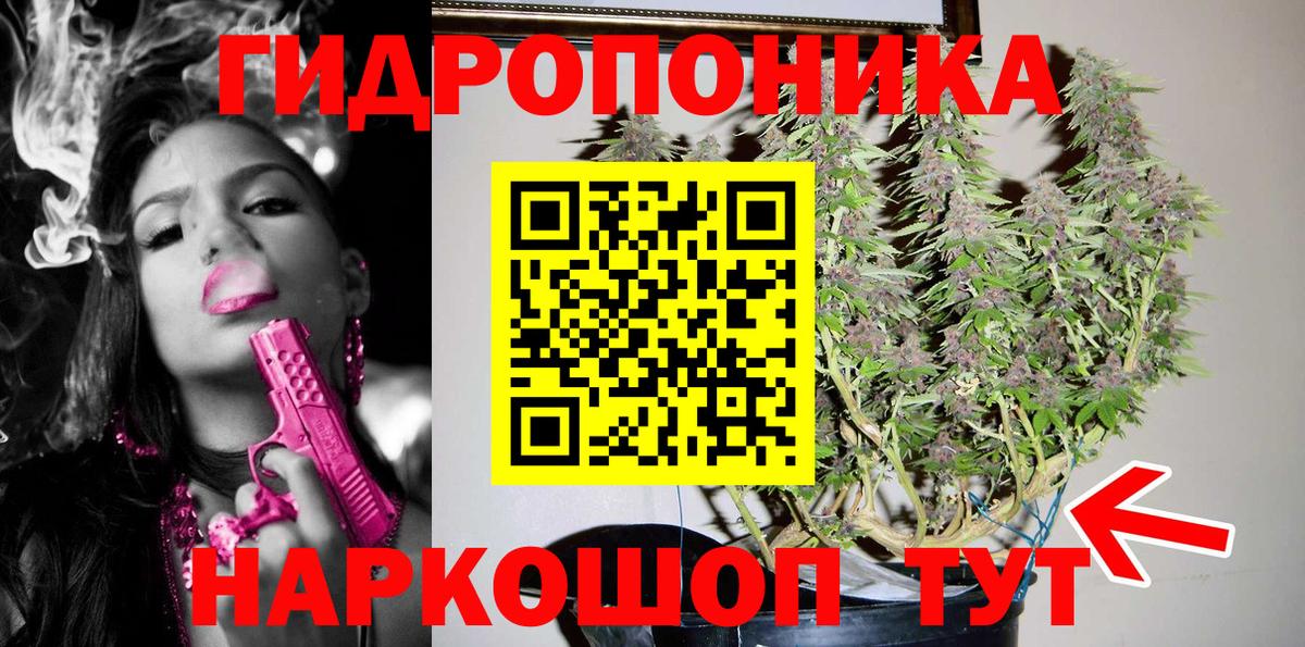 Конопля марихуана Кохма